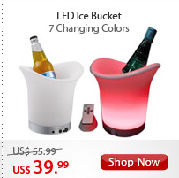 LED Ice Bucket