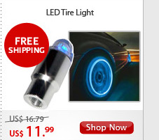 LED Tire Light