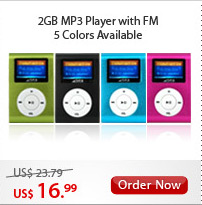 2GB MP3 Player with FM