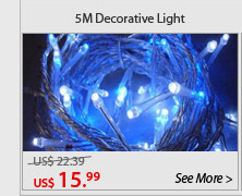 Decorative Light(5M)