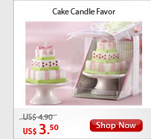 Cake Candle Favor
