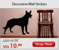 Decorative Wall Stickers